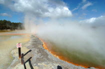 THE CHAMPAGNE POOL OF WAI O TAPU THERMAL WONDERLAND.THE SPRING IS 65 METRES IN DIAMETER AND 62 METRES DEEP.THE POOL WAS FORMED 700 YEARS AGO BY A HYDROTHERMAL ERUPTION.VARIOUS MINERALS ARE DEPOSITED...