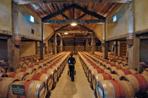 NAPIER  THE TOM MCDONALD WINE CELLAR AT CHURCH ROAD WINERY  Built as a tribute to the legendary father of quality red winemaking in New Zealand  Tom McDonald  the cellar features New Zealand matai floors  recycled from the old Napier wool stores at Port Ahuriri   open jarrah beams and contemporary copper lighting. At the cellars rear lie hundreds of French oak barriques in which Church Roads premium Bordeaux-style red wines mature.Antipodean Oceania Dad Vino Vin Alcohol Grape Winery Drink