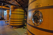 NAPIER  GENERAL VIEW OF THE CUVE ROOM AT CHURCH ROAD WINERY.Antipodean Oceania