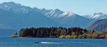 OTAGO  A SPEED BOAT CROSSES LAKE WANAKA PAST EELY POINT RECRATION RESERVE  WOODED AREA  WITH SOUTHERN ALPS IN THE DISTANCE.Antipodean Oceania Scenic