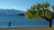 OTAGO  A MAN WALKS THE SHORELINE OF LAKE WANAKA.Antipodean Oceania Male Men Guy One individual Solo Lone Solitary Scenic