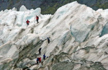 MOUNT COOK NATIONAL PARK  A GROUP HIKES THE FRANZ JOSEF GLACIER. Julius von Haast  geologist and explorer  named Franz Josef Glacier in 1863  after the Emperor of the Austro-Hungarian Empire. Approxim...