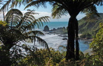 UNNAMED BAY  NEW ZEALAND FERNS AT AN UNAMED BAY OFF THE HAAST HIGHWAY ROUTE 6 ON THE WEST COAST.Antipodean Oceania Beaches Motorway Resort Sand Sandy Seaside Shore Six Tourism