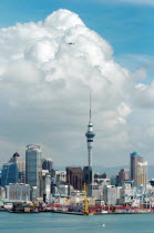 GENERAL VIEW OF AUCKLAND SKYLINE SHOWING AUCKLAND HARBOUR AND THE RESIDENTIAL DISTRICT OF DEVENPORT PICTURE TAKEN FROM THE MOUNT VICTORIA RESERVE.Antipodean Oceania