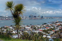 GENERAL VIEW OF AUCKLAND SKYLINE SHOWING AUCKLAND HARBOUR AND THE RESIDENTIAL DISTRICT OF DEVENPORT PICTURE TAKEN FROM THE MOUNT VICTORIA RESERVE.Antipodean Oceania