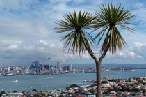GENERAL VIEW OF AUCKLAND SKYLINE SHOWING AUCKLAND HARBOUR AND THE RESIDENTIAL DISTRICT OF DEVENPORT PICTURE TAKEN FROM THE MOUNT VICTORIA RESERVE.Antipodean Oceania