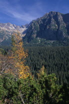 View towards the High Tatras mountains from the Magistrala trail near Strbske Pleso with mix of deciduous and coniferous trees in the foreground.