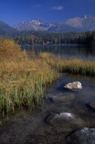 Strbske Pleso.  View across lake towards distant chalet and mountains beyond with surrounding trees and reeds and vegetation in foreground in Autumn colours.