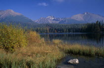 Strbske Pleso.  View across lake towards distant chalet and mountains beyond with surrounding trees and reeds and vegetation in foreground in Autumn colours.