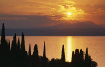 Sunset over Lake Garda from Punta San Vigilio with trees silhouetted against water reflecting orange sky.