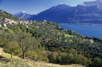 Landscape west of Lake Garda in area around village of Tremosine.  Distant houses spread across hillside overlooking lake and mountain backdrop.