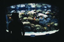 Ocean Aquarium.  Silhouetted figure standing in front of exhibit of coral and brightly coloured fish.
