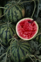Water melons with one sliced in half with knife left protruding from flesh.