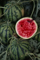 Water melons with one sliced in half with knife left protruding from flesh.