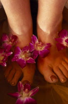 Bodhi Theraputic Retreat.  Close cropped shot of feet soaking in water scattered with orchid flowers.