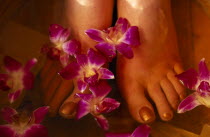 Bodhi Theraputic Retreat.  Close cropped shot of feet soaking in water scattered with orchid flowers.