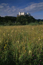 Hohensalzburg fortress situated on densely forested hillside above meadowland.  Constructed in 1077 by Archbishop Gebhard.