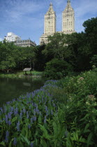 Twin towers of San Remo apartments seen from Central Park