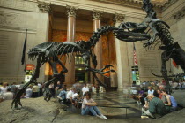 Natural History Museum. Dinosaur skeleton exhibits in the Main Hall with visitors