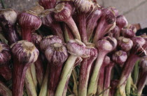 Garlic bulbs for sale in farmers market in Lewes East Sussex.