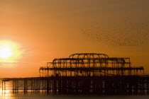 Swarm of starlings circling above the remains of West Pier at sunset