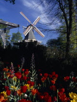 Keukenhof Gardens. The parks Windmill with tulips in the foreground.