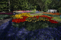 Keukenhof Gardens. Multicoloured tulip display with a small white footbridge