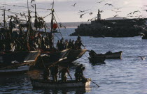 Seagulls circling above fishing boats in fortified harbour.