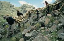 Men from the Chumbivilcas hills carrying length of thick rope made from woven bunch grass to make cable or trense used for bridge construction by local villagers.