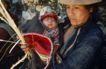 Woman carrying baby while weaving or trensing ichu grass used in construction of traditional bridge and built by local villagers near the Rio Apurimac.