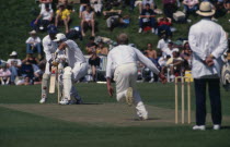 Arundel. West Sussex. Duchess of Norfolk s Eleven playing against New Zealand