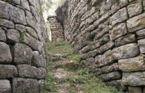 Kuelap Fortress ruins  Chachapoyas culture also known as the Cloud Forest People.  Site discovered 1843.  Steep  narrow pathway between stone walls.