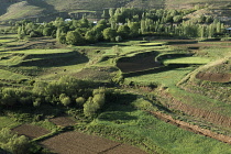 Traditional irrigated terraces. Farming