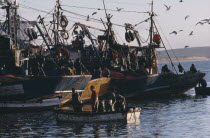 Fishing boats and seagulls in port.
