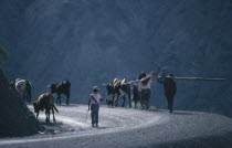 Farming family with livestock and plough returning home after days work.