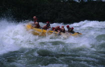 Uganda, Jinja, Bujugali Falls. White water rafting near the source of the Nile.