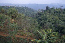 Hillsides covered with tropical vegetation.