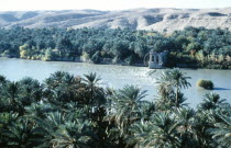 River and water wheel lined by palms looking west from minaret of mosque in Qalat ana