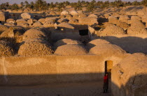 Typical mud architecture with woman wearing red standing in the foreground.