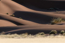 Red sand dune desert landscape.