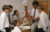 Male and female pupils being shown a model of the human body by male teacher during a biology lesson.