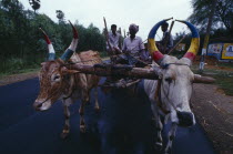 Pair of oxen with painted horns pulling wooden cart