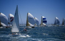 Perth Sail boats at sea in the Whitbread boat race