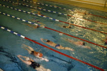 Swimmers in lanes of indoor pool.