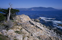 Big Sur rocky coastline with cypress trees.