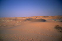 Low red sand dunes with tracks of sheep and goats in front