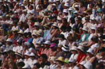 Crowd of Wimbeldon tennis supporters.