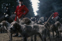 Men in traditional dress standing with pack of hounds