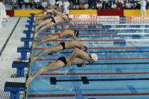Swimmers at race start