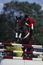 German rider Jurgen Kraus competing in the 1994 Hickstead Derby  clearing parallel bars on bay horse.